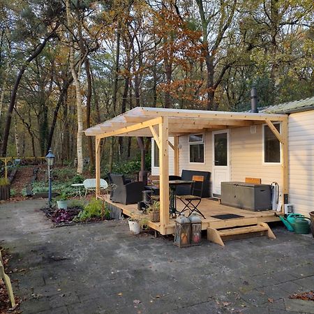 Chalet Met Veranda Aan Bosrand Vledder Экстерьер фото