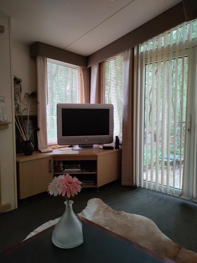 Chalet Met Veranda Aan Bosrand Vledder Экстерьер фото